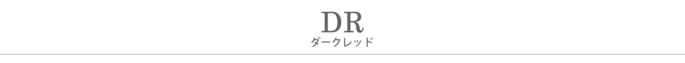 DR.ダークレッドタイトル