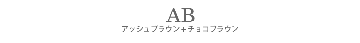 AB.アッシュブラウン+チョコブラウンタイトル