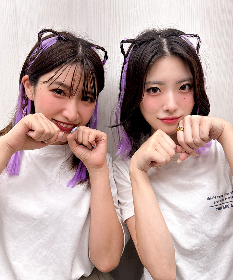 【猫耳ヘアアレンジ】カラーエクステ/ポイントメッシュエクステ2type[wgt812]