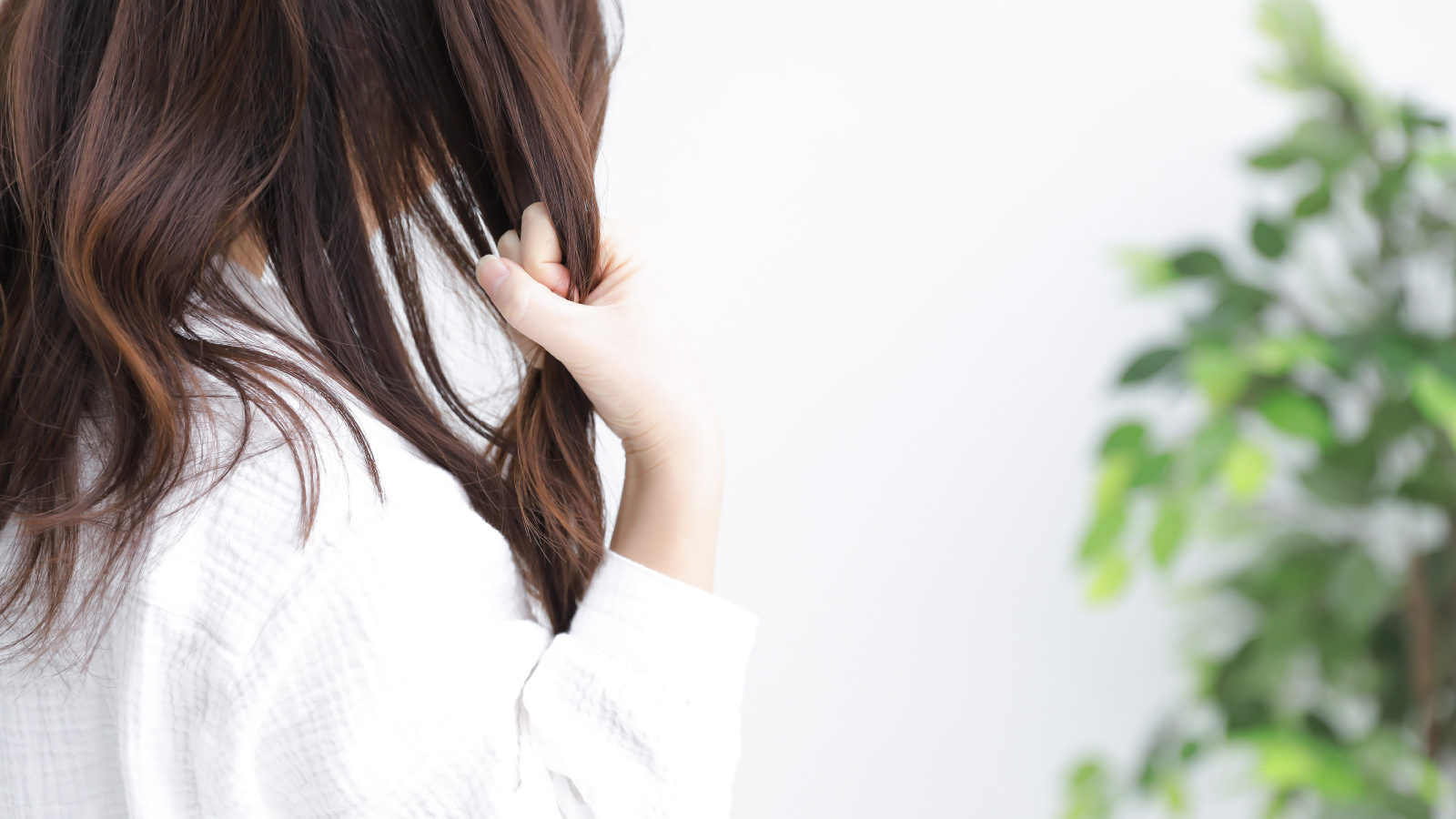 なぜ髪は抜けるの？体の中で何が起きるの？