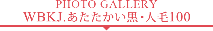 フォトギャラリー WBKJ.あたたかい黒・人毛100