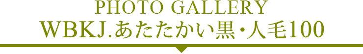 フォトギャラリー WBKJ.あたたかい黒・人毛100