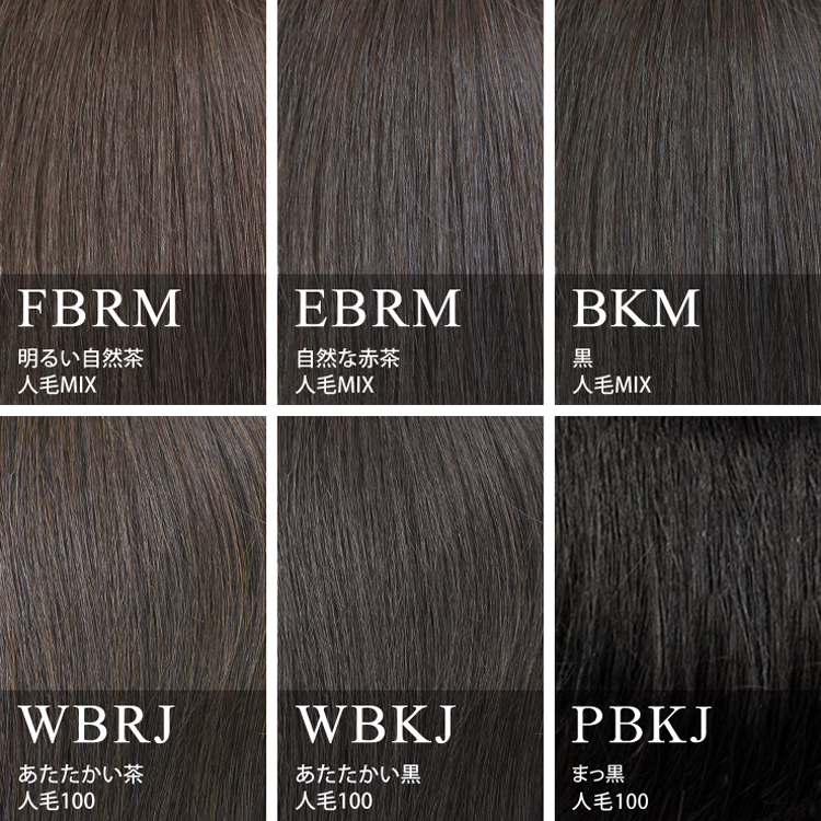 ヘアピース カラーチャート