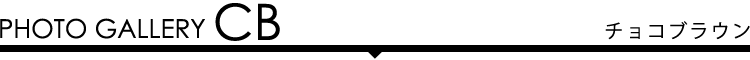 フォトギャラリー