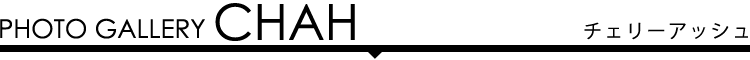 フォトギャラリー