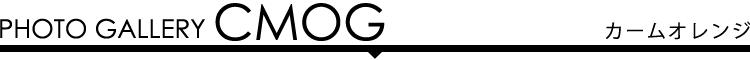 フォトギャラリー