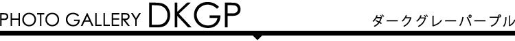 フォトギャラリー