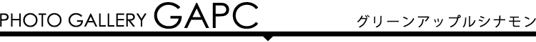 フォトギャラリー