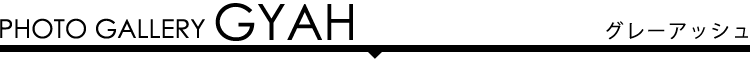 フォトギャラリー