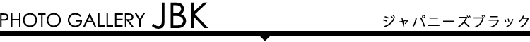 フォトギャラリー