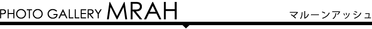 フォトギャラリー