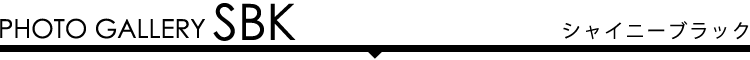 フォトギャラリー