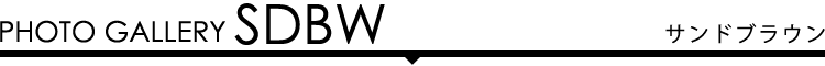 フォトギャラリー