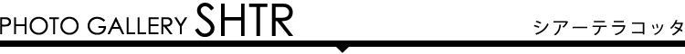 フォトギャラリー