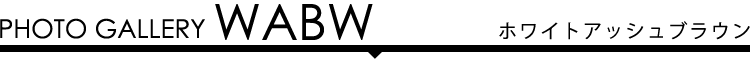 フォトギャラリー