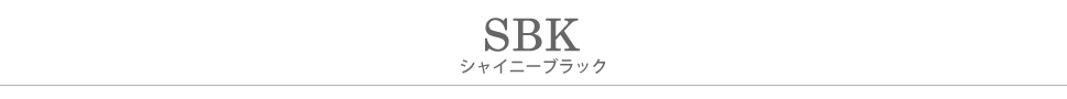 SBK.シャイニーブラックタイトル