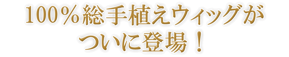 100%総手植えウィッグがついに登場