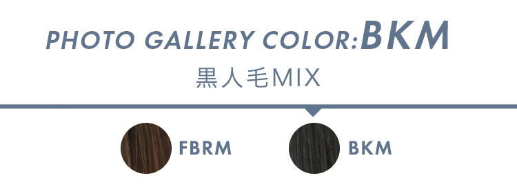 フォトギャラリー BKM