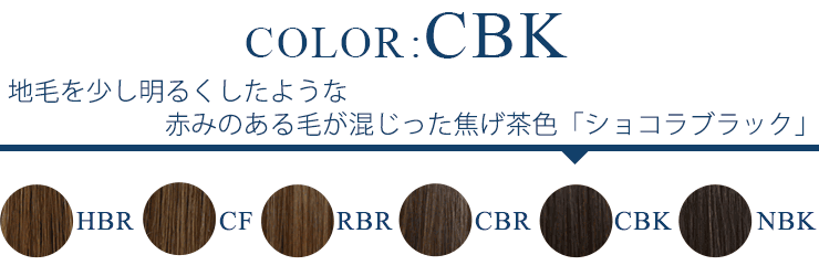 イメージギャラリー CBK
