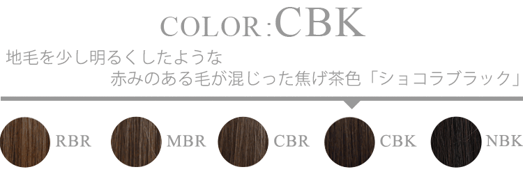 フォトギャラリー CBK