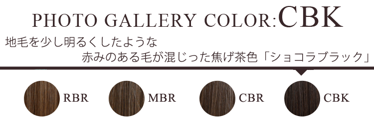 フォトギャラリー CBK