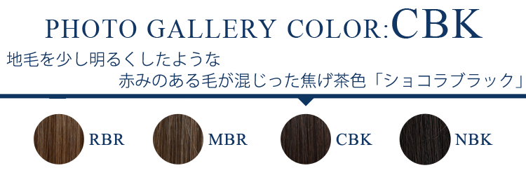 フォトギャラリー CBK