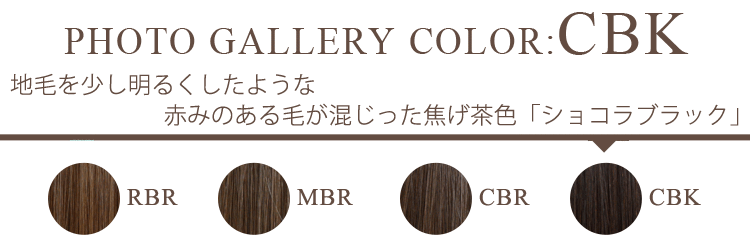 フォトギャラリー CBK