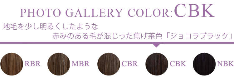 フォトギャラリー CBK