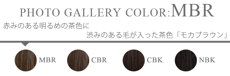 フォトギャラリー MBR