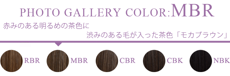 フォトギャラリー MBR