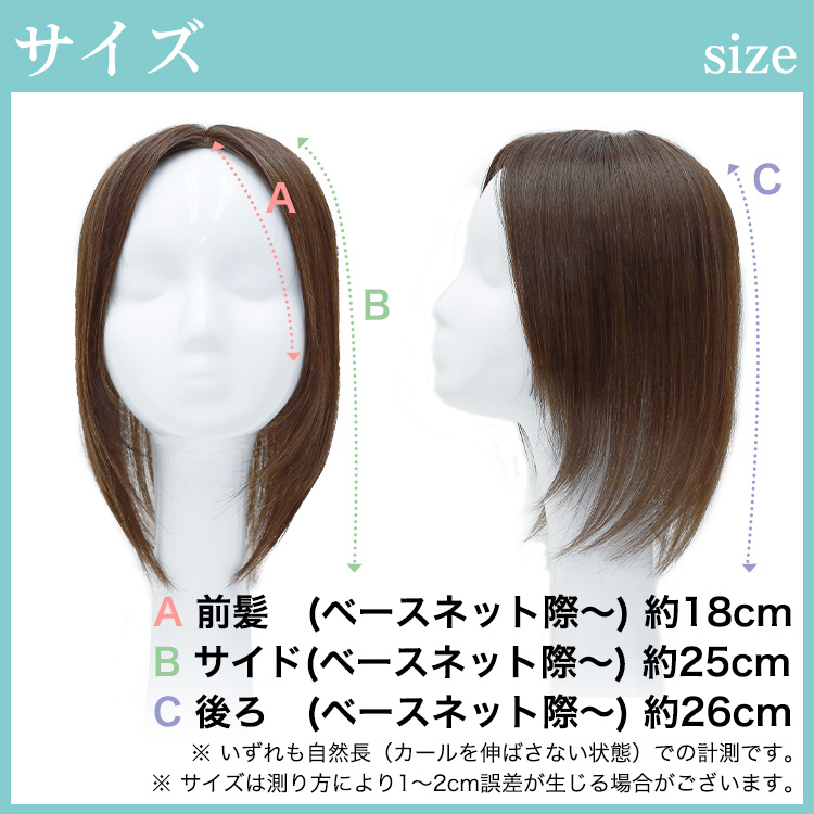 ヘアピース寸法サイズ写真