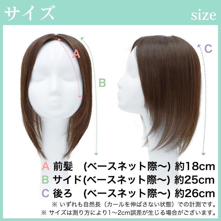 ヘアピース寸法サイズ写真