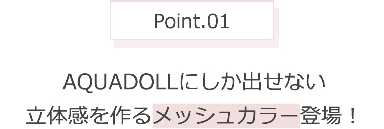 Point.01 AQUADOLLにしか出せない立体感を作るメッシュカラー登場!