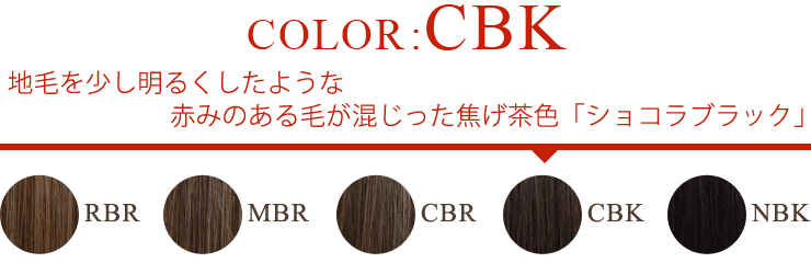 cbk