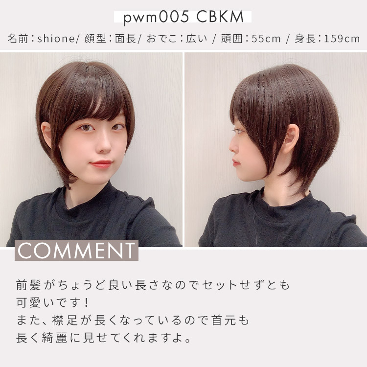 人気大割引 アクアドール ヴィーナス 大人の小顔ヘルシーショート人毛mixウィッグ Pwm005 送料無料 Aquadoll フルウィッグ ショート コスプレ ウィック ウイッグ レディース 人毛ミックス Fucoa Cl