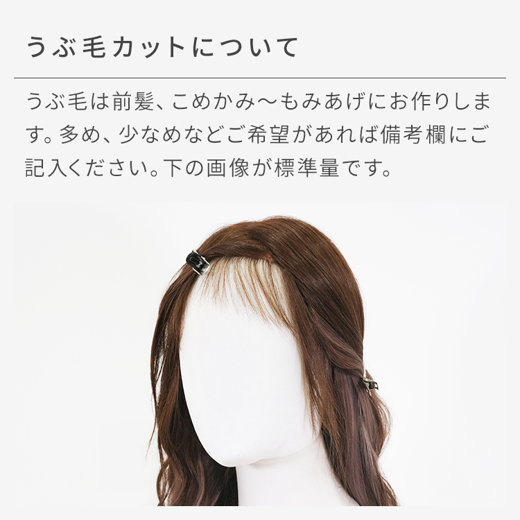 アクアドール　人毛MIX医療ウィッグ　ハンガーネット付き アクアドール 人毛MIX医療ウィッグ ハンガーネット付き アクアドール人