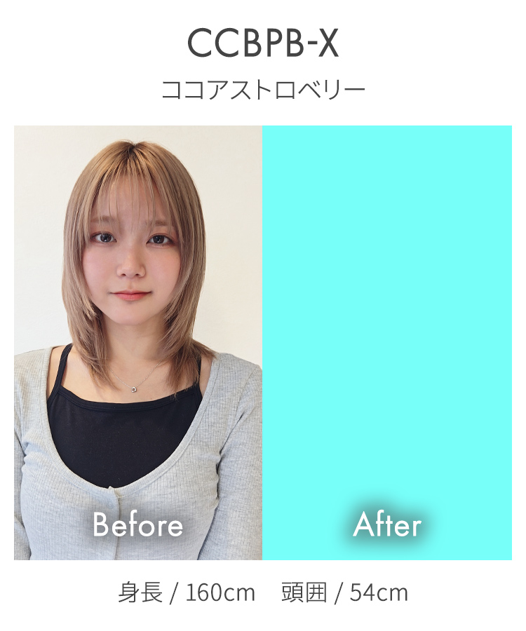 ウィッグ ミディアム/【仮】推し活ミディアム [wg373]