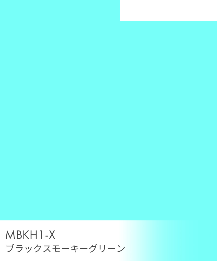 ウィッグ ミディアム/【仮】推し活ミディアム [wg373]