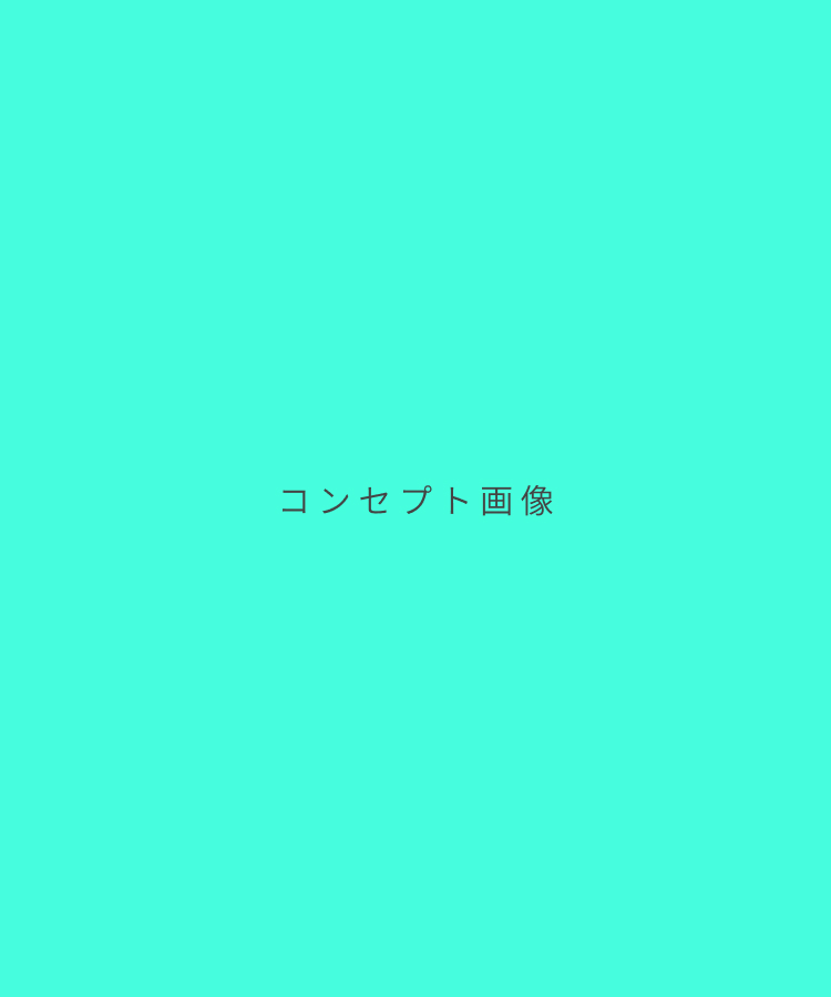 ウィッグ ロング/プチ手植え ティアラロング [wg378]