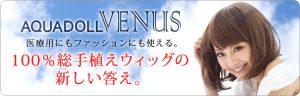 【ウィッグ専門店】アクアドール横浜サロン取扱商品一覧