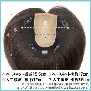 総手植え人毛100％ヘアピース | 札幌サロン公式ブログ| 自然なウィッグ