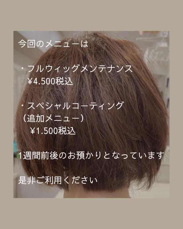 12月② さぴ ウィッグオーダー 確認用 (12月3週) 12月② さぴ様専用 ウィッグオーダー 確認用 (12月3週)