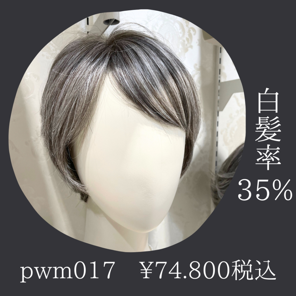 人毛MIXのウィッグにグレイヘアが登場です！ | 札幌サロン公式ブログ